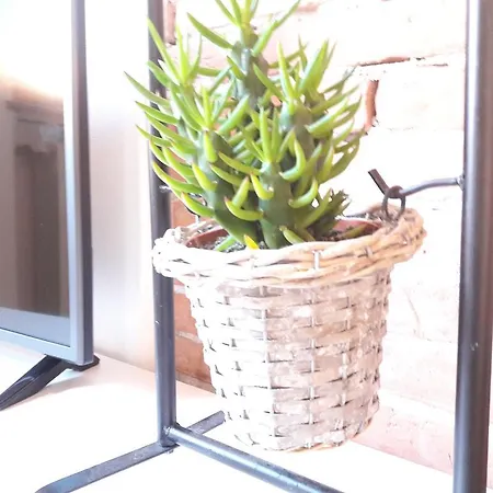 Apartment Aris