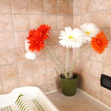 Apartment Aris